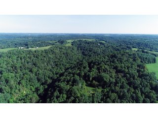 Tract 34 - Timberland & Farmland in Noble County, OH - LAND AUCTION - 12,200+/- ACRES OFFERED IN 65 TRACTS IN NOBLE COUNTY, OHIO